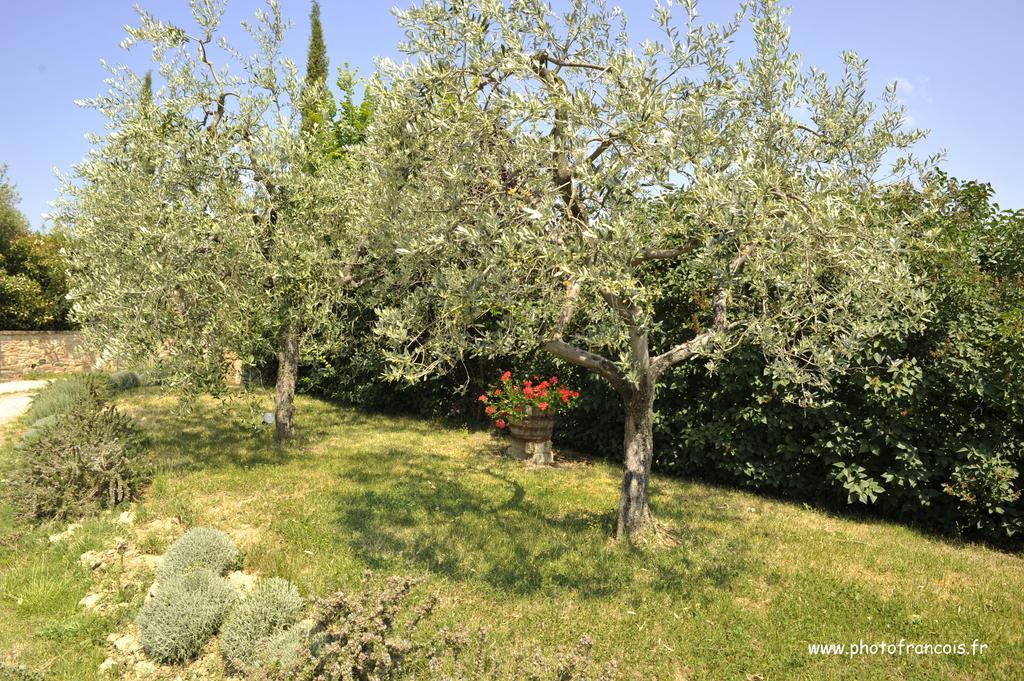 Il Sasso